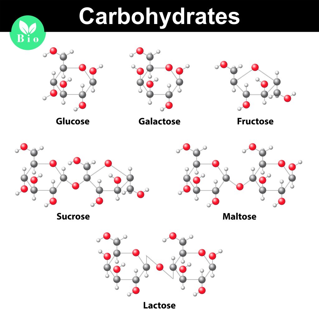 Grafische Darstellung des molekularen Aufbaus von Kohlehydraten